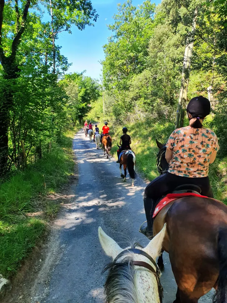 balade à cheval près de Ruelle‑sur‑Touvre