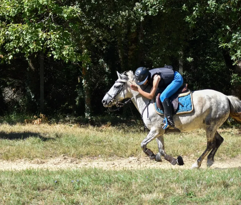 cheval au galop