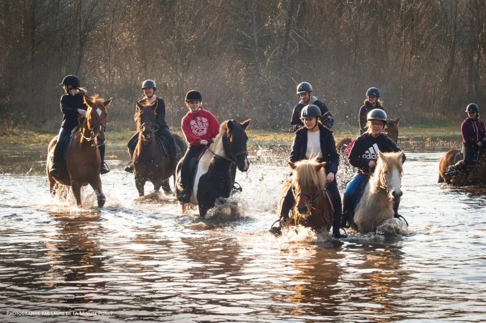 balade à cheval et poney